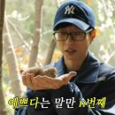 사심이 이미지