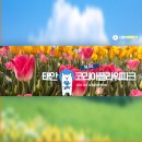의경농장 | 태안 튤립축제 코리아플라워파크 후기 무료주차 전동차 정보