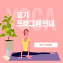 성인 요가 A 이미지