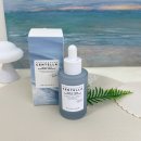 1004 | 고순도 히알루론산의 압도적 흡수력 스킨1004 히알루-테카 플럼핑 앰플 후기 물광피부