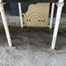 사동초등학교 병설유치원 이미지