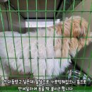 아지네농장 이미지