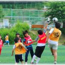 비호경희대태권도 이미지