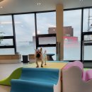 마음편한동물메디컬센터 이미지