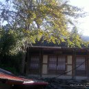 신안리석불입상 이미지