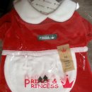 도기스쿨 이미지