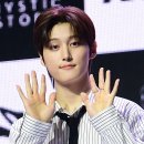 리오토 이미지