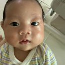 일센치 - 전주시 덕진구 오송1길 7 | 내돈내산 일센치 약모밀 앰플 신생아 태열 관리 후기