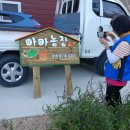 해오름농장-3 이미지