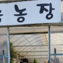 다인농장2 이미지