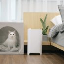 황금복권 이미지