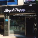 로열 퍼피샵 이미지
