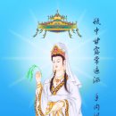 근본 4종심 이미지