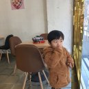 쿠마카롱 이미지