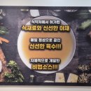 춘리마라탕 산울점