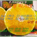 홍기농장 이미지