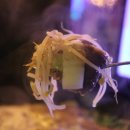 소문난상회 이미지