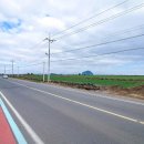 형제해안로 이미지