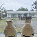 몬딱 게스트하우스 | 제1회 몬딱 게,하 고사리 파티 이벤트