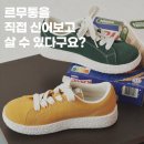 신어보고 이미지