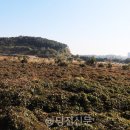 도광산업
