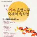 노거수 은행나무 축제의 속삭임 이미지