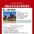 새솔 검도교실 이미지