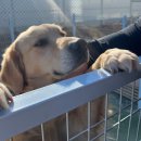 페리아902오션뷰스파펜션 이미지