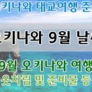프란렌트카 이미지