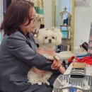 유미찌 이미지