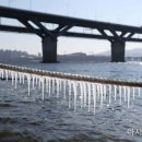 뚝섬한강공원-48 이미지