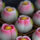 자비사 | 구미 자비사의 우이로우세트 주문후기