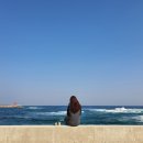 태시트 이미지