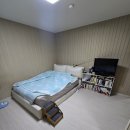 씨유김천대학마트강점 | 인천 부평구 해피하우스 매매 전세 월세 실거래가 정리했어요