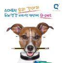 큐펫 이미지