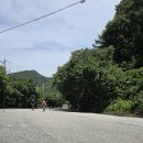 탄금목재