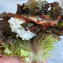 이화장 | 기장 해동 용궁사 근처 맛집 이화장횟집