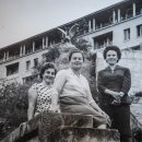 웰다잉지도사양성과정 이미지