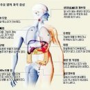 월요일아침 이미지