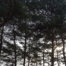 용문산 관광지 이미지