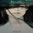 노래하는 이미지