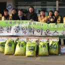 서춘천농업협동조합 이미지