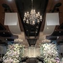 호텔 엘타워 | 강남 웨딩홀 투어 후기 (엘타워 / 빌라드지디 / 엘리에나호텔 비교 + 견적)