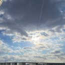 동그란 멍멍이 | [일산] 2025 일산 메가주(하) 오픈 첫날 방문후기