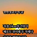 글마을