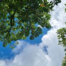 황금봄정신건강의학과의원 이미지