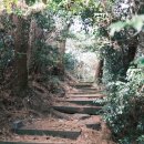 제지기오름 이미지