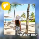 호텔패션 이미지