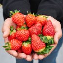 김동석농장 이미지