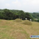 이극견 가계 석물군 네이버블로그